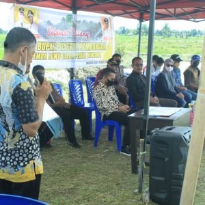 Kades Radda, Burhanuddin Sampaikan Ini  Kepada Bupati LUTRA Saat Meninjau Giat Optimalisasi Area Persawahan Sekaligus Melaunching Pengoperasian Buldozer Multifungsi D.21