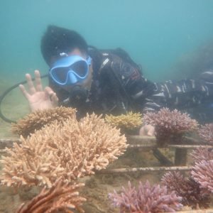 Sambut HUT Kemerdekaan RI, Prajurit Yonmarhanlan VI Antusias Sukseskan Kegiatan Festival Bahari Luwu Utara