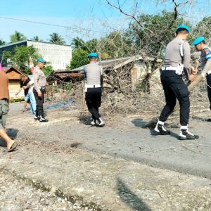 Hendak Melintas, Propam Polres Luwu Utara Bantu Warga Tebang Pohon