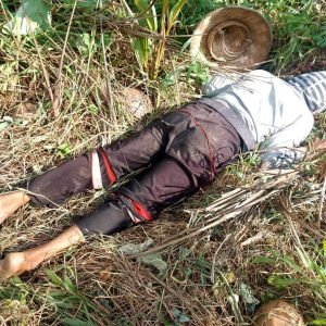 Temukan Mayat Pria di Area Perkebunan, Polres Luwu Utara Kerahkan Tim Inafis Olah TKP