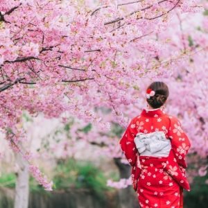 7 Tempat Anti-Mainstream untuk Menikmati Mekarnya Bunga Sakura di Jepang