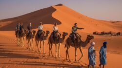 Panduan Lengkap Menjelajahi Gurun Sahara di Maroko Dengan Menggunakan Jasa Tur Lokal Terpercaya