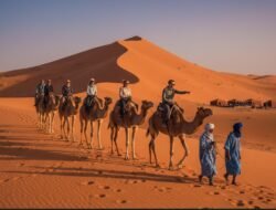 Panduan Lengkap Menjelajahi Gurun Sahara di Maroko Dengan Menggunakan Jasa Tur Lokal Terpercaya